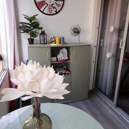 Studio Cabine Avec Loggia Agde Εξωτερικό φωτογραφία